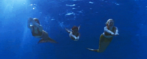 1.4.gif