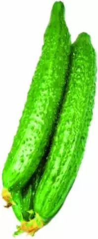 ΢ͼƬ_20181128151547.jpg