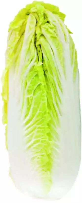 ΢ͼƬ_20181128151550.jpg