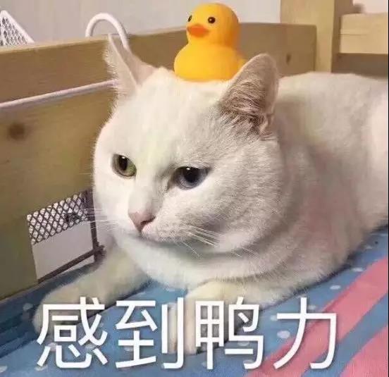 ΢ͼƬ_20181128141440.jpg