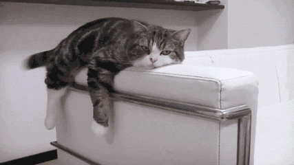΢ͼƬ_20190111174237.gif