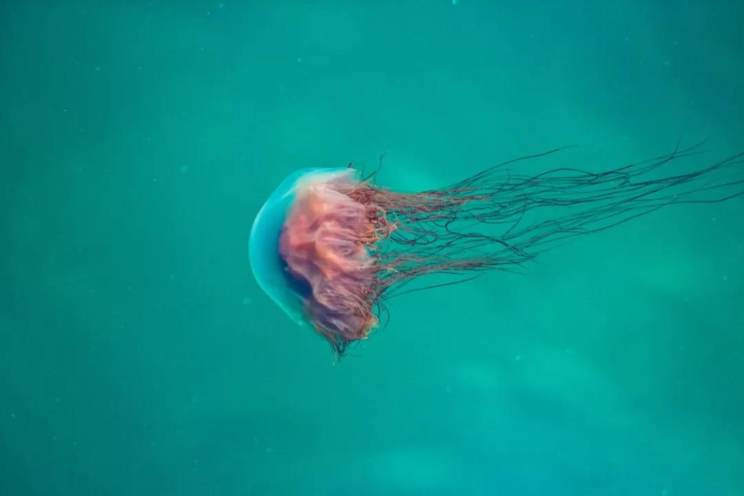 ΢ͼƬ_20190222110153.jpg