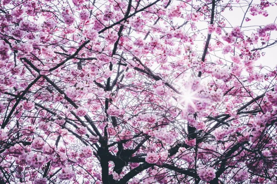 ΢ͼƬ_20190322175015.jpg